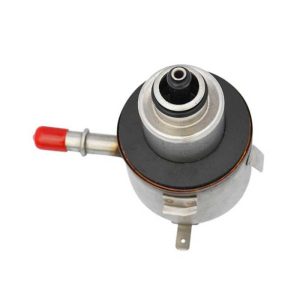 Filtro regulador de gasolina Neon 1997-2006